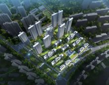 2023年9月6日，炙手可热的高端金铺限量发售！天嘉上河九章周边环绕着柘里渡小学、祝融小学、成龙成章学校、衡阳船山实验中学、衡阳市一中等9大名校。学校集中的地方，即代表有的消费市场，