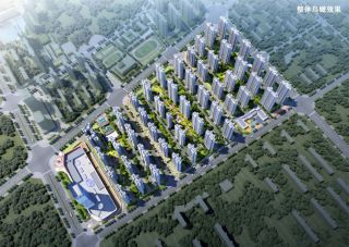 铜锣湾广场项目位于武广新城耒阳大道中段