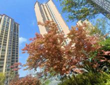 2021年12月20日，华容县金湖龙湾实景现房年终清盘一口价3888元/平米起！此刻您如果正打算在华容县买房不妨过来看看。金湖龙湾位于岳阳华容县工农桥往西100米