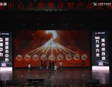 临湘洋墅登临，千人共鉴！5月26日江旅星耀临湘中心洋墅狂欢盛典仅限5天，活动时间：5月26-31日举司同庆聚惠全城；项目投资55亿大手笔打造的临湘约160万方一站式城市综合体