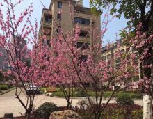 10月23日，衡阳华瑞园22栋、23栋建面约140㎡纯板房新品加推，均价5800~6200元/㎡；其中项目28栋推出建面约94-105平米特价房20套，至低房价5380元/㎡起！活动期间购买购房就送价值880元恒源祥床上四件套。