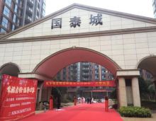 2020年1月1-5日，衡阳国泰城举行交房仪式；2020年4月15日交房达到100户；截止2020年12月31日共计交房362户；国泰城在这一年里，让许多多年前置业的购房者们终于拿到了梦寐以求的房门钥匙。