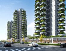 常德市金盘云中樾楼盘位于湖南省常德市，是该地区的一处优质房地产项目。打造空中别墅、空中园林以及电梯房的全部优势于一身，项目毗邻白马湖、丁玲双公园，湖南文理学院以及常德博爱康复医院等。