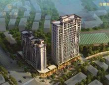 总的来说，桃江县清华府楼盘附近的生活配套丰富，为居民提供了便捷的生活体验。房子的品质也得到了广泛认可，是一个值得考虑的居住选择。