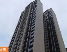 现在凡是在岳阳买房的人都担心自己项目是否烂尾，都关心自己楼盘进度。下面就为您介绍下岳阳铂悦府各楼栋进度情况；截止到目前，铂悦府一期2、5、7、8、9栋已交付！项目的3栋与6栋具体施工进度如下。主体工程已完成，屋面电梯机房顶板防水刚性层已浇筑完成，内墙抹灰完成、铝窗完成等。