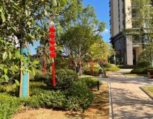 7月25日，顺府9#墅质楼栋提前迎来盛大交付，满分兑现，9#栋业主幸福归家，进阶不降准的生活追求。交付当天，繁花点缀、顶制礼序，为各位业主献上了一场特别的归家礼遇。