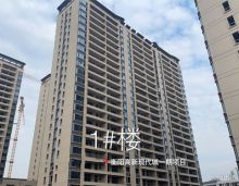 高新现代城初冬佳音近，幸福家渐成，为您奉上衡阳高新现代城项目11月工程情况！截止到目前，衡阳高新现代城1楼：入户大堂装修完成70%。衡阳高新现代城2楼电梯厅装修地板、墙面施工完成；入户大堂装修完成50%。衡阳高新现代城3楼外墙立面保温