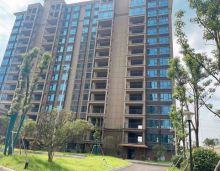 2023年7月29日，首付2万起住湘阴顺恒佳苑建面约120-130㎡稀量板房小高层！湘阴顺恒佳苑位于洋沙湖大道与新华路交汇处，占地面积14494.52㎡，建筑面积：50343㎡，绿化率40%，