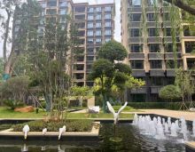 当你还在考虑楼层的时候，二楼都卖了；2023年10月8日，岳阳南湖壹号2期建面约93-143㎡高拓展学校附近洋房火爆热销中！岳阳南湖壹号项目总占地面积200多亩，总建筑面积近30万平方米，容积率仅2.0，绿化率达到了35%