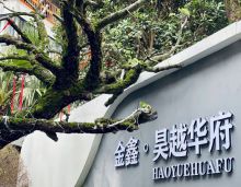 在房地产的璀璨星空中，金鑫昊越华府宛如一颗耀眼的恒星，自面市以来，便凭借着强大的品牌背书、卓越的产品基因以及令人惊叹的实景品质，在市场的浪潮中熠熠生辉，热度经久不衰，连续多次缔造月度销冠的辉煌战绩。如今，即将重磅入市的二期 10# 栋臻席藏品