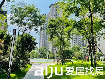 1681550420681325.jpg 1.jpg