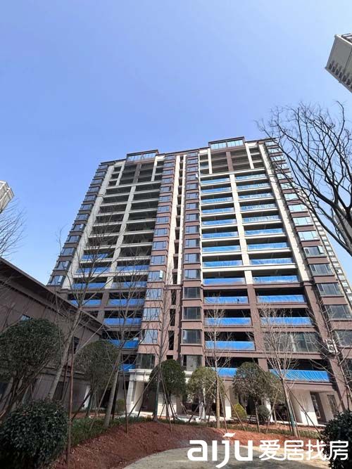 1683703519970188.jpg 1.jpg