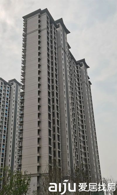 1684205952195363.jpg 1.jpg