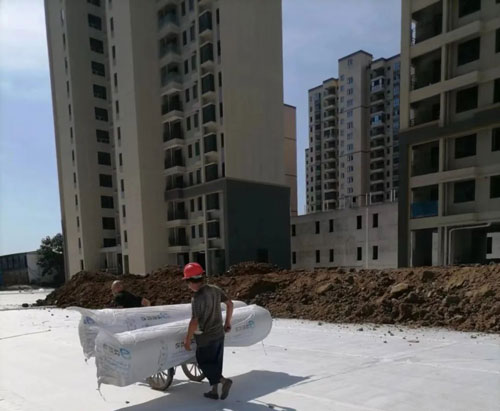 1689407632421064.jpg 111.jpg