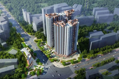 1690008275605829.jpg 11.jpg