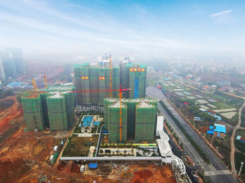 1695717245226397.jpg 11.jpg