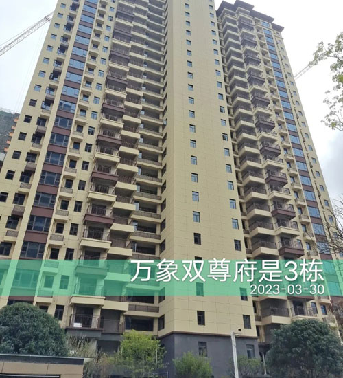 1695785031888384.jpg 11.jpg