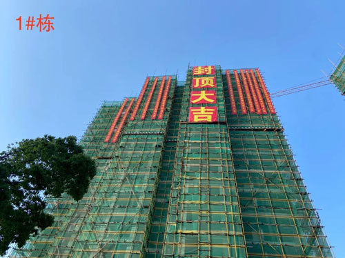 1696681314299893.jpg 11.jpg