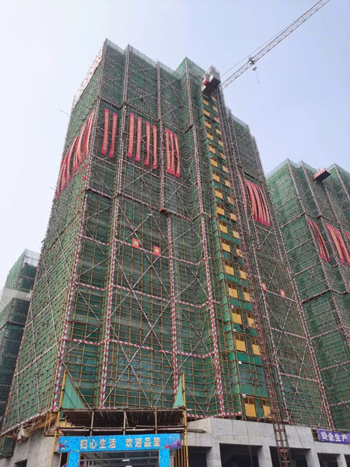 1697078252393289.jpg 11.jpg