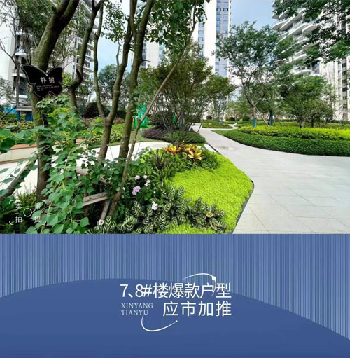 1698744298350527.jpg 1.jpg