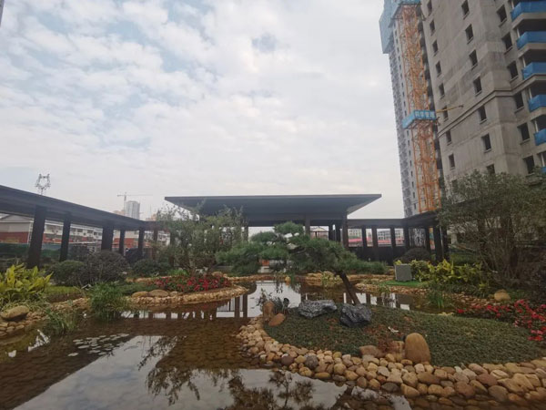 1732243188409332.jpg 11.jpg